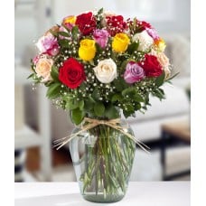 Colorful Roses