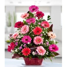 Arrangement of Gerberas