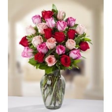 Pink and Red Roses
