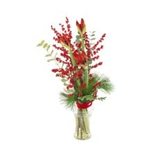 Festive amaryllis with ilex | VASE IS NOT INCLUDED (Basic)