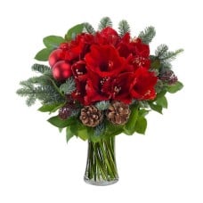 Festive bouquet with amaryllis and pine nuts