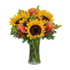 Sunflowers and orange roses (Basic)
