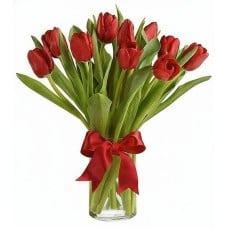 10 Red Tulips