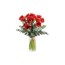 Red Amaryllis with Eucalyptus