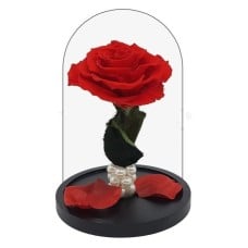 Red Forever Rose (Medium size)