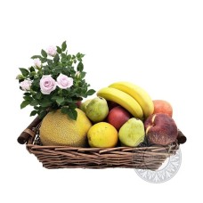 Basket with seasonal plant and fruits (Basic)