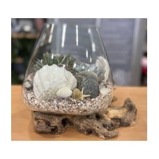 Cognac glass vase with succulents