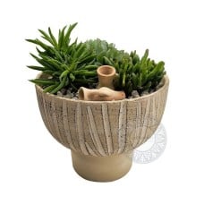 Ceramic succulent arrangement