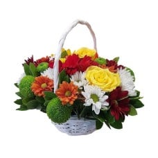 Funky Basket (Basic)