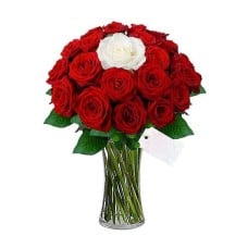 In Love with 21 gorgeous roses