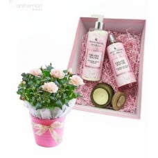 Gift Velvet touch