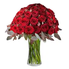 Stunning love with 60 red roses