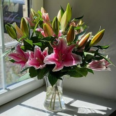 Blush Lilies