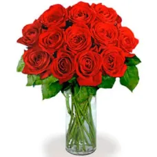 12 Extra Long Stemmed Red Roses