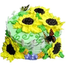 2lbs Sunny Days Chocolate Cake from Redolence Bake Studio