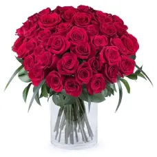 50 Shades of Red Roses