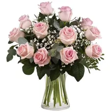 12 Secret Pink Roses