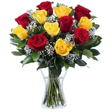 12 Yellow and Red Roses
