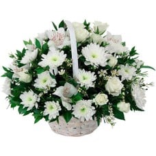 White Basket (BASE)