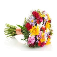Wildflowers (BASE)