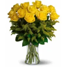 12 Rose Gialle