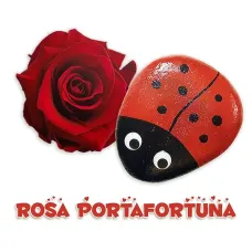 Amore & Fortuna
