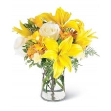 Whiteness Yellow (BASE)