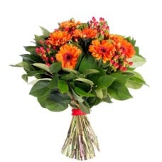 Bursts of Joy