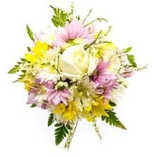 Precious Gratitude (Medium)