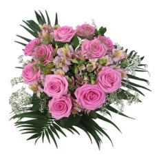 Sweetheart (Medium)