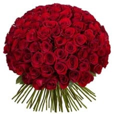 101 Roses