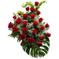 Cascading Roses