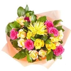Bursts of Sunshine