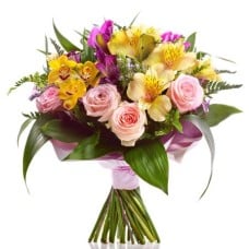 Burst Of Romance