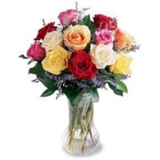 Mixed Color Roses