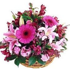 Basket In Purple