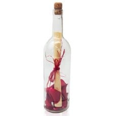 Letter in a bottle