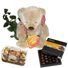 Teddy With Chocolate Gifts