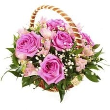 Pink Burst