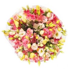 Blooming Love