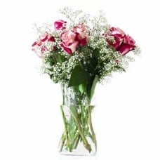 Rose Classic