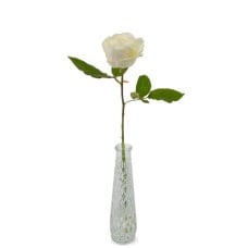 Premium white rose + free vase