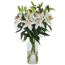 Lilies - White Oriental Lilies (Small)