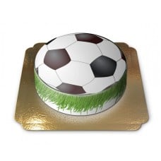 Soccer ball cake (Large(25 shares))