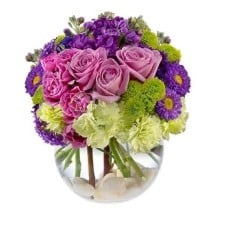 Lavender blush