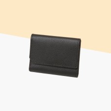 ana tomy Leather Non-Wallet in Ebony
