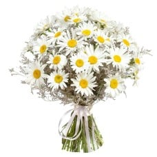 bouquet of daisies (Standard)