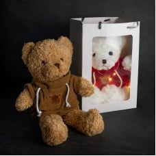 Teddy Bear Plushie
