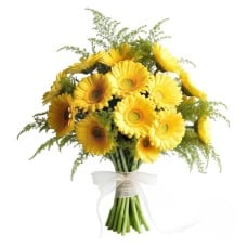 Bouquet Of Yellow Gerberas (Refined)