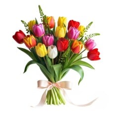 Multicolour tulips (Refined)
